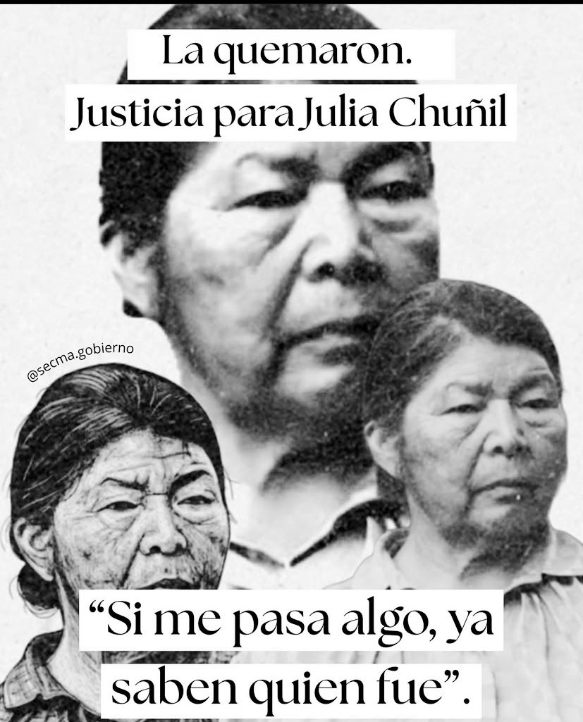 activista medioambiental y dirigente mapuche Julia Chuñil Catricura…