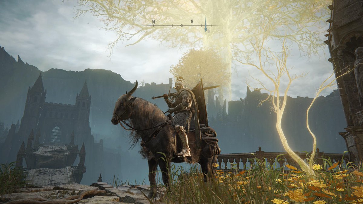ChrisVllds's tweet photo. Elden ring es un juego muy bonito. https://t.co/Kldpm7gHjJ