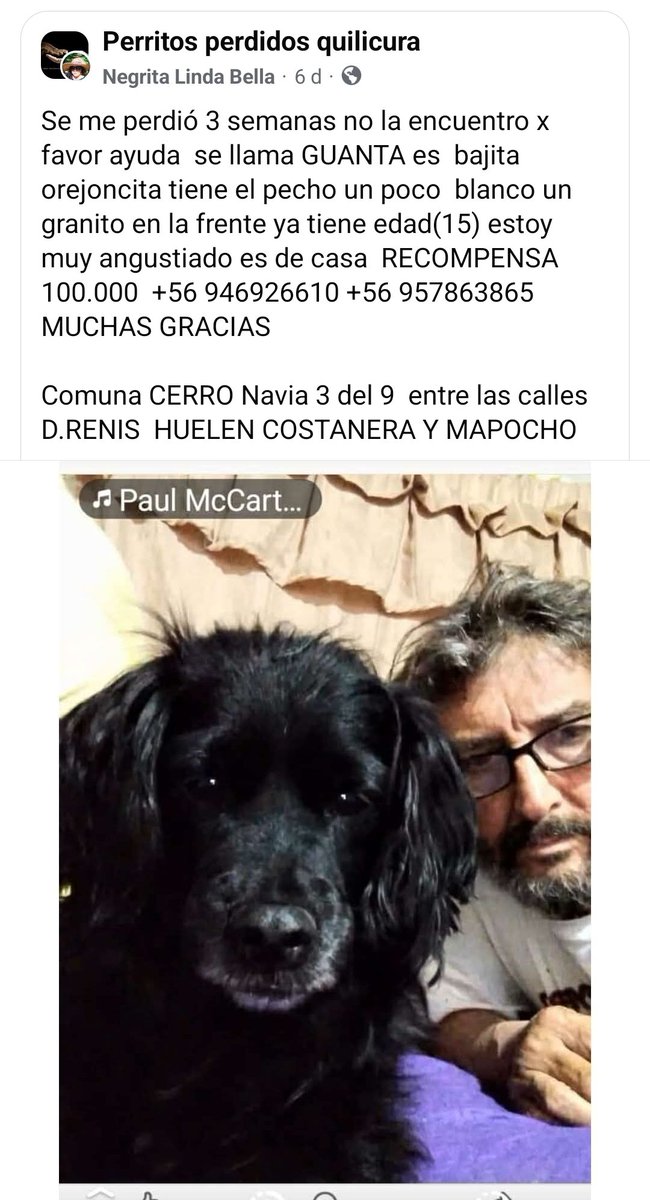 SOS Animales (@sos_animales) on Twitter photo ##URGENTE #PERDIDA desde #CerroNavia tiene 15 años <a href="/biobio/">BioBioChile</a> <a href="/carolinapinoc/">Caro 🌲 C.</a> <a href="/Fundacion_CIMA/">Fundación C.I.M.A. Chile</a> <a href="/mascotalerta/">Fundación MASCOTALERTA</a> <a href="/PerrosPlazaHuem/">Perras Tuiteras🐾 Barrio Franklin 🇨🇱🐶🐱</a> <a href="/KarendTV/">Karen Doggenweiler L</a> <a href="/kattykowaleczko/">Katty Kowaleczko</a> ##URGENTE #PERDIDA desde #CerroNavia tiene 15 años <a href="/biobio/">BioBioChile</a> <a href="/carolinapinoc/">Caro 🌲 C.</a> <a href="/Fundacion_CIMA/">Fundación C.I.M.A. Chile</a> <a href="/mascotalerta/">Fundación MASCOTALERTA</a> <a href="/PerrosPlazaHuem/">Perras Tuiteras🐾 Barrio Franklin 🇨🇱🐶🐱</a> <a href="/KarendTV/">Karen Doggenweiler L</a> <a href="/kattykowaleczko/">Katty Kowaleczko</a>