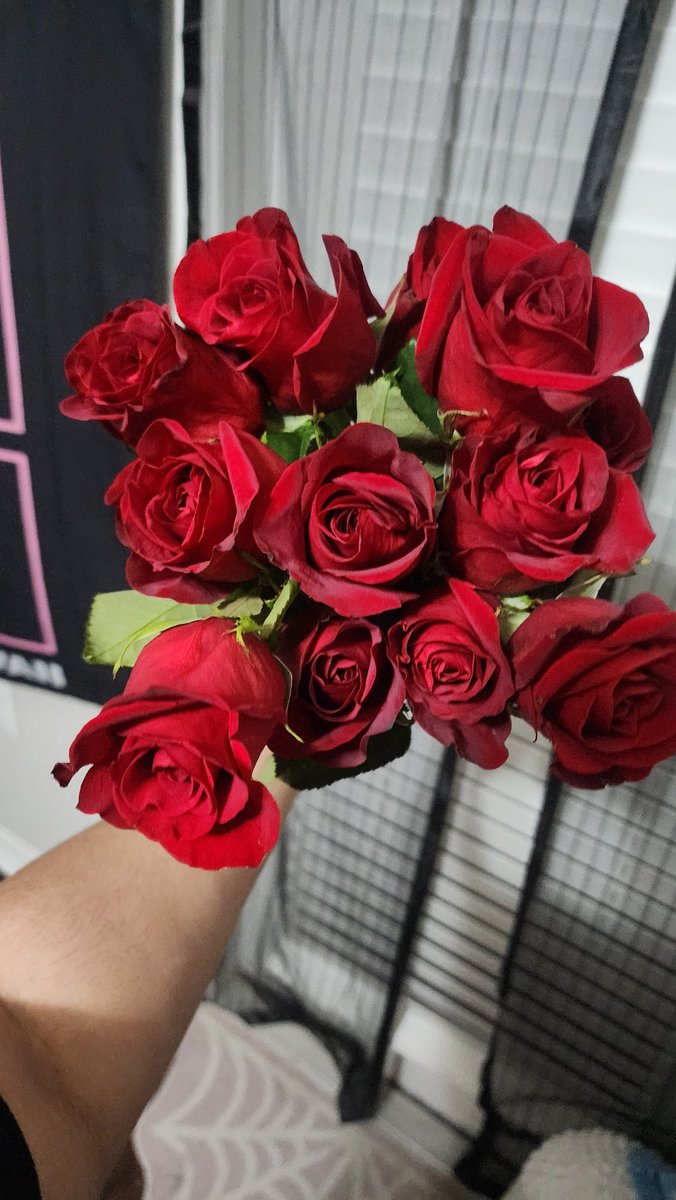 I have the sweetest friends ever istg 😭😭😭💚💚💚