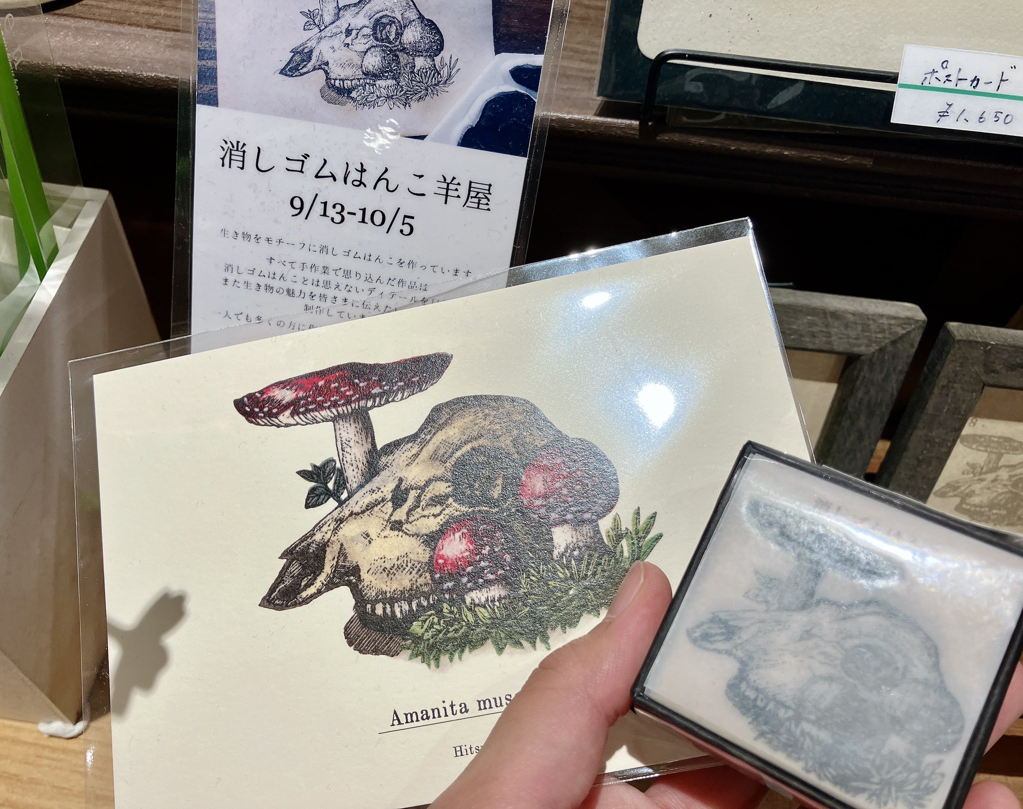 ★稀少大型本★フェロモンの謎～生物のコミュニケーション (SAライブラリー) ☆稀少大型本☆フェロモンの謎～生物のコミュニケーション (SA