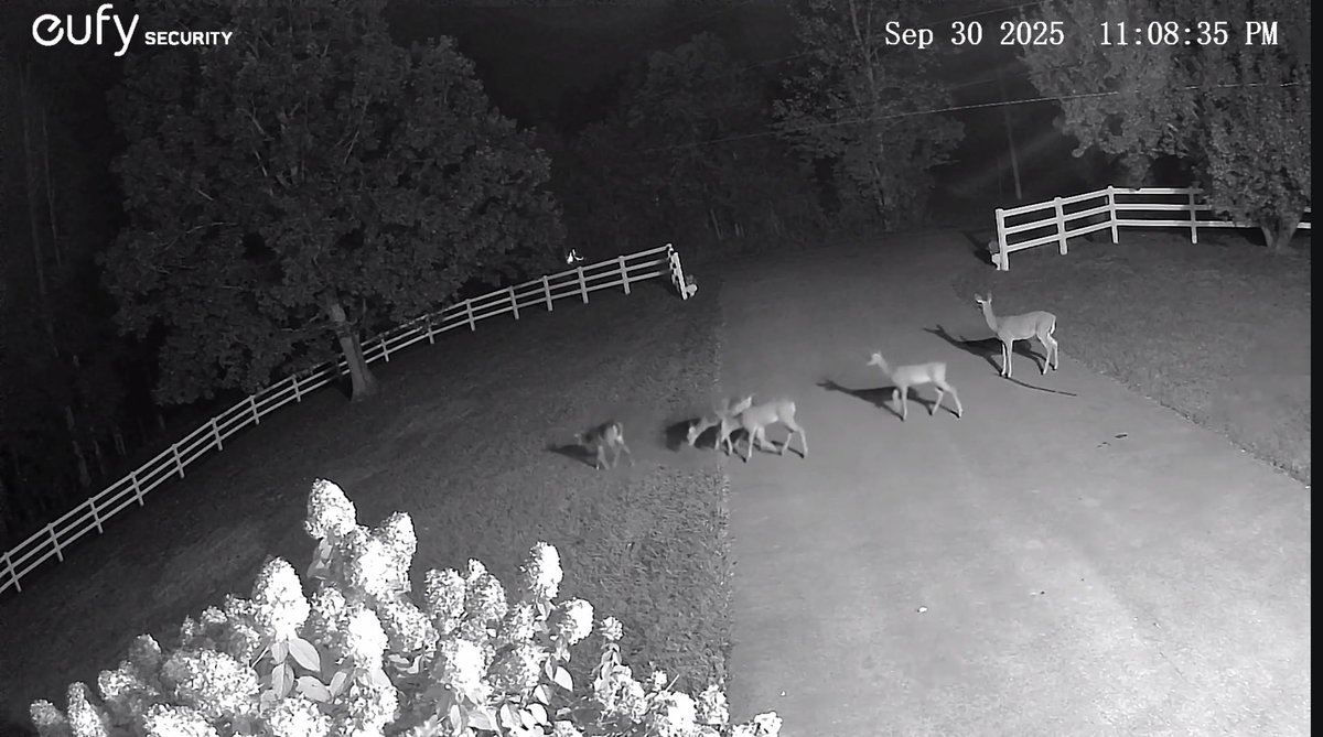 Roger E. Pauley tweet media