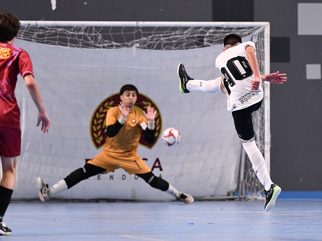 Futsal de Primera tweet media