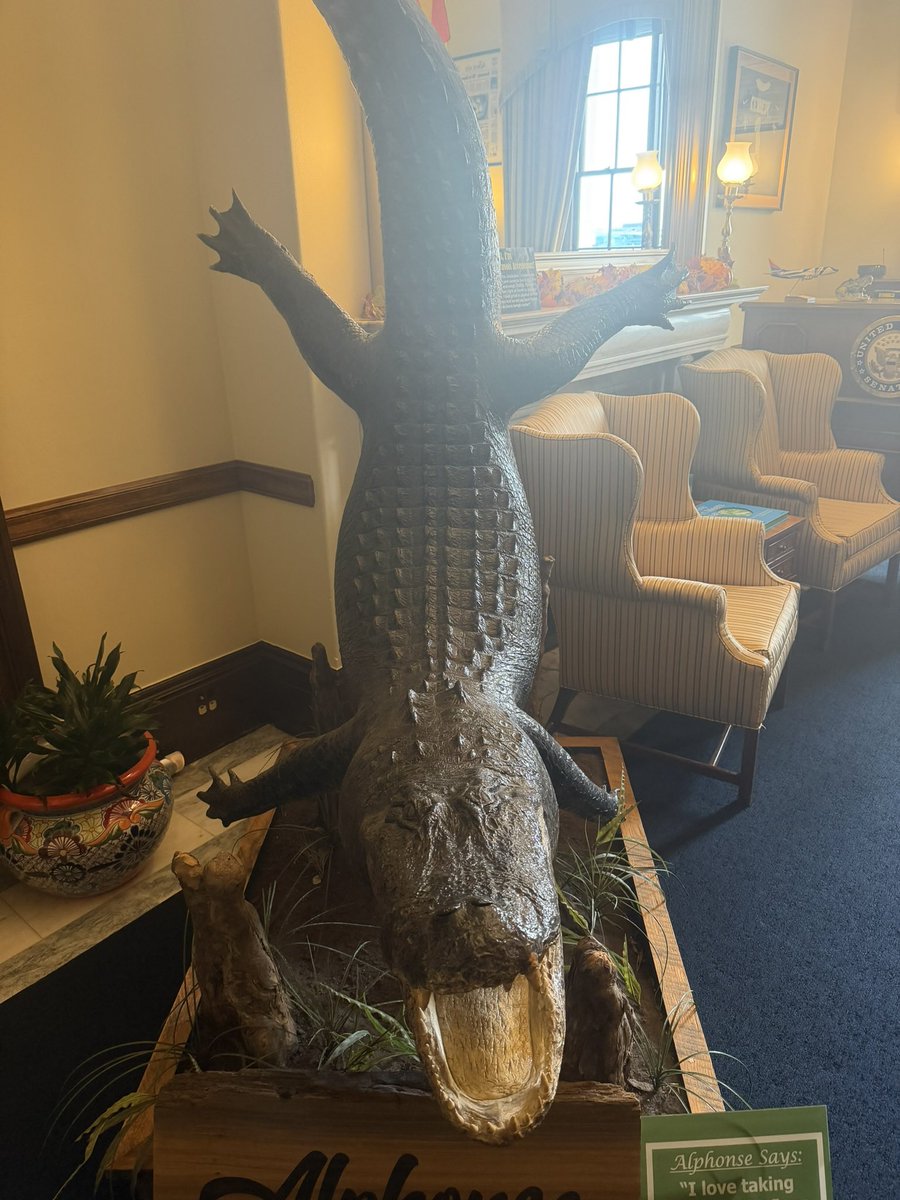 Just left Senator John Kennedy’s office on Capitol Hill. 🐊 His “gator” is ready to take a big bite out of Big Tech’s algorithmic suppression.

It’s time to stop the shadow-banning and throttling that’s silencing creators and the public.

#OperationAlgorithmAssassin #ShadowBan