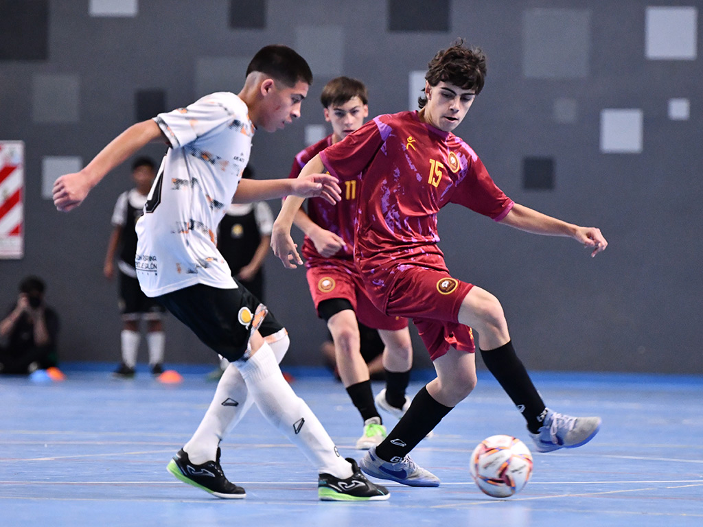 Futsal de Primera tweet media