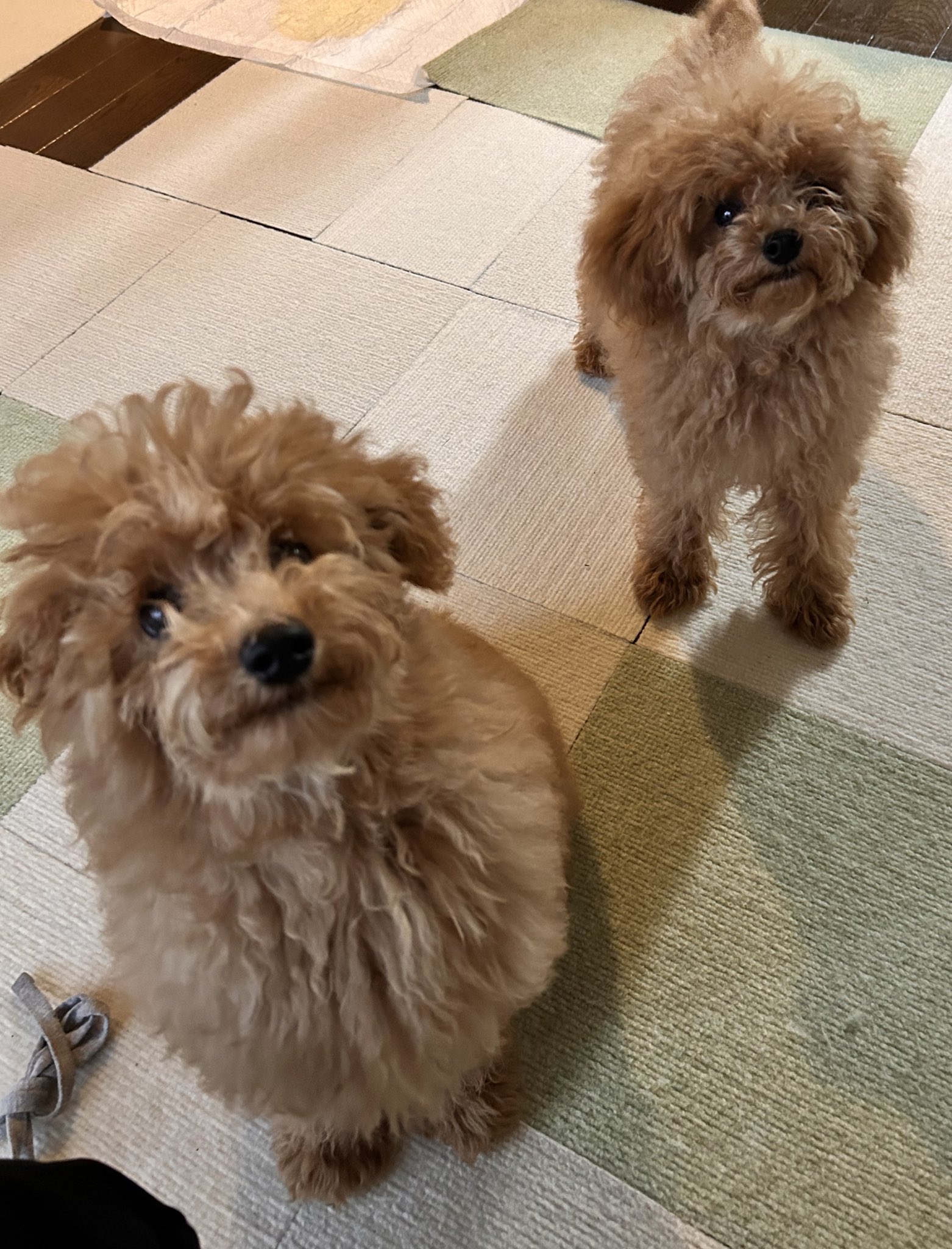 かずちゃんページ G1Fz9XNbUAAdLUs.jpg