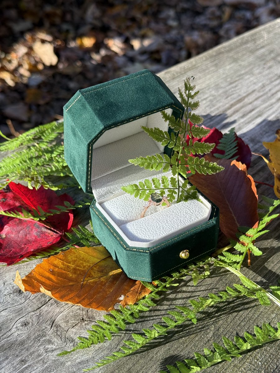 Shock! 🥭🍋 tweet media