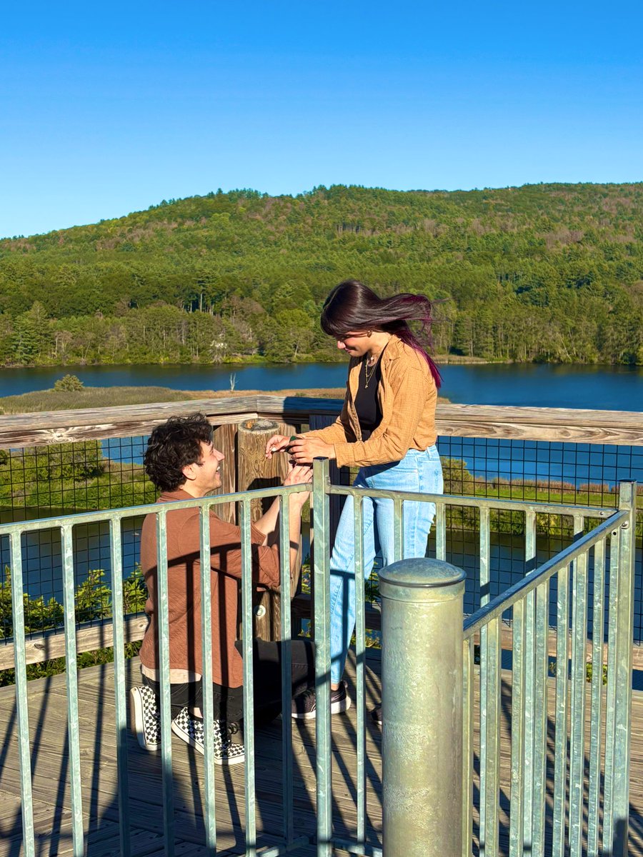 Shock! 🥭🍋 tweet media