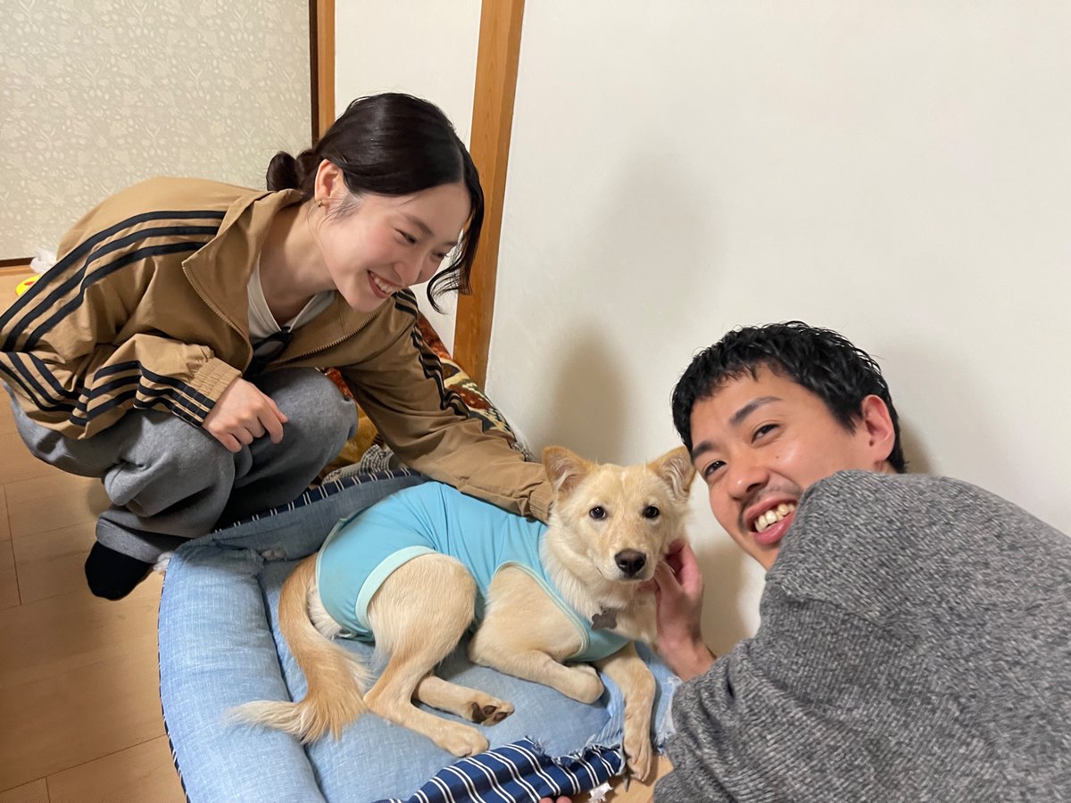 宮下サトシ (@toys_pottery) / Posts / X