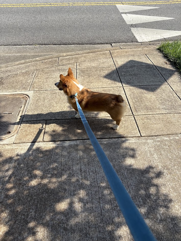 Chris Burson tweet media