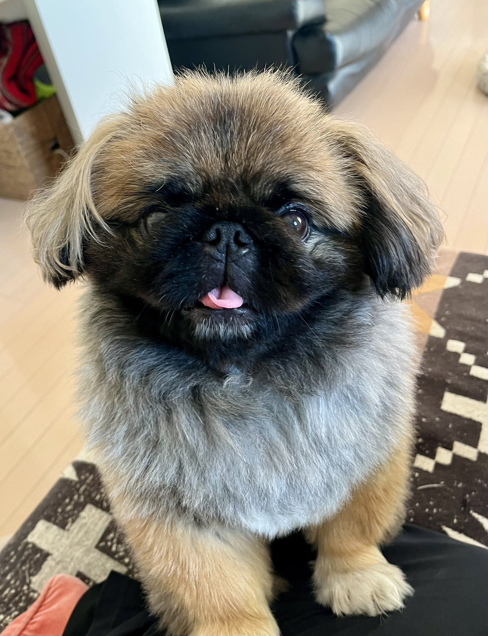 ナムコ (@na257) / X