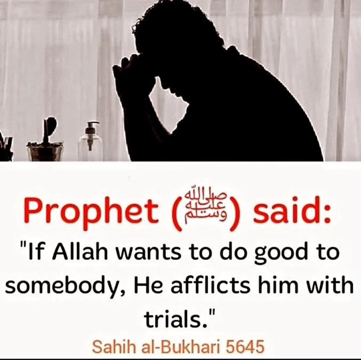 Bala3Usman's tweet image. Hadith of the Day✅📌