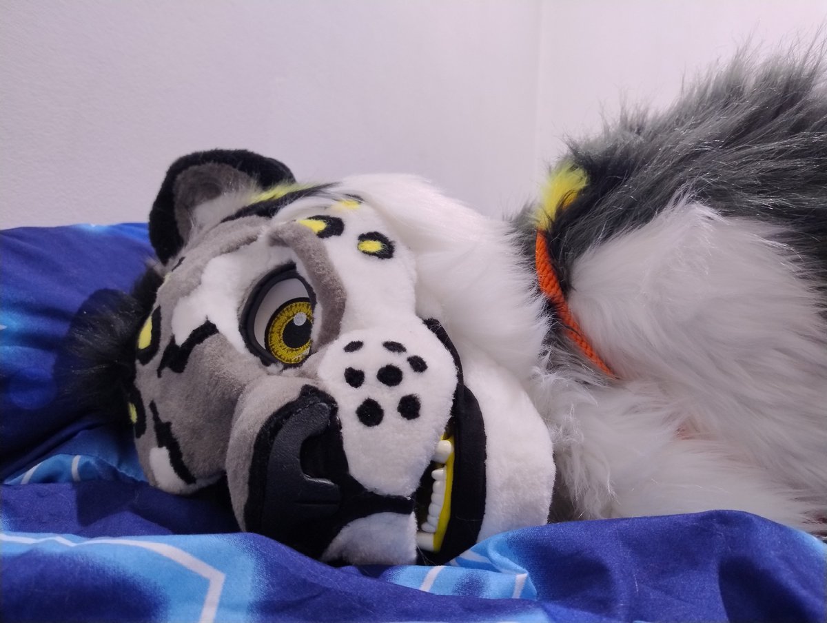 🇺🇦🇩🇪 AkoroSnep 🔜 FZ🇮🇹 East14🇩🇪 tweet media