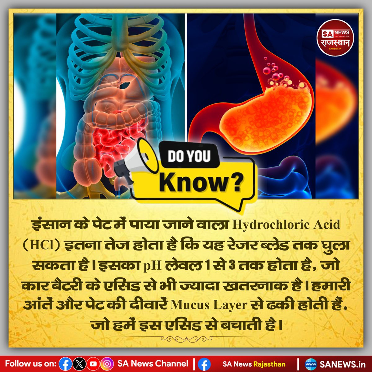 SANewsRajasthan's tweet image. DO YOU Know?
इंसान के पेट में पाया जाने वाला Hydrochloric Acid (HCI) इतना तेज होता है कि यह रेजर ब्लेड तक घुला सकता है। इसका pH लेवल 1 से 3 तक होता है, जो कार बैटरी के एसिड से भी ज्यादा खतरनाक है।
#ScienceFacts #HumanBody #AmazingFacts #StomachAcid #DidYouKnow #ScienceShorts