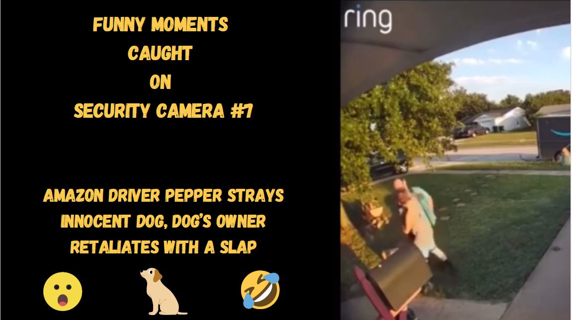 #amazon #amazondriver #dog #doggo #slap #pepperspray #pet #innocent #leash   

Funny moments caught on security camera #7 | driver pepper sprays innocent dog, dog's owner retaliates with a slap

youtube.com/watch?v=Zv8Gn9…