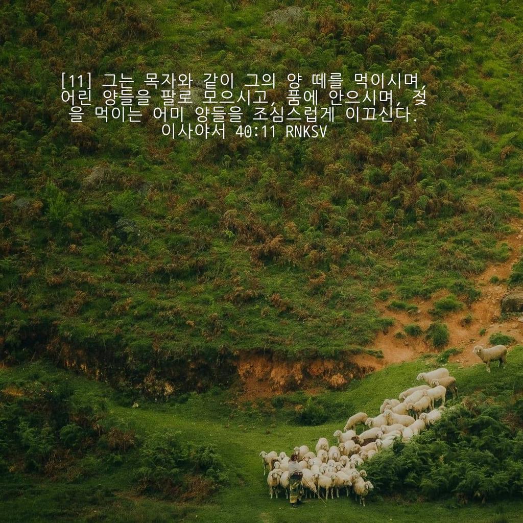 이사야서 40:11 RNKSV
[11] 그는 목자와 같이 그의 양 떼를 먹이시며, 어린 양들을 팔로 모으시고, 품에 안으시며, 젖을 먹이는 어미 양들을 조심스럽게 이끄신다.

bible.com/bible/142/isa.…