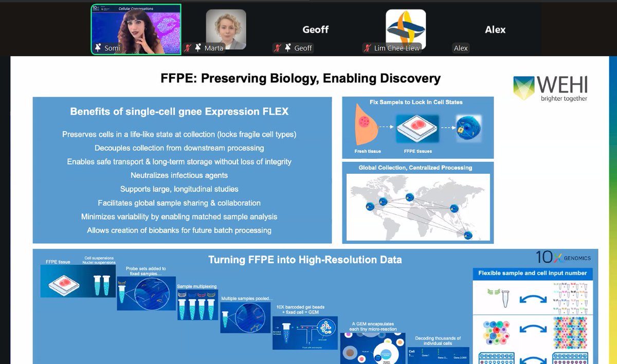 mscienceaustnz's tweet photo. 👏 Huge thanks to Somi Kordafshari for sharing top tips on optimising @10xGenomics Chromium Single-Cell Flex kits for FFPE tissues at yesterday’s Cellular Conversation!
Missed it? Contact us and we’ll share the recording!
#SingleCell #GenomicsResearch #CellularConversation https://t.co/ivrTLhPiBd