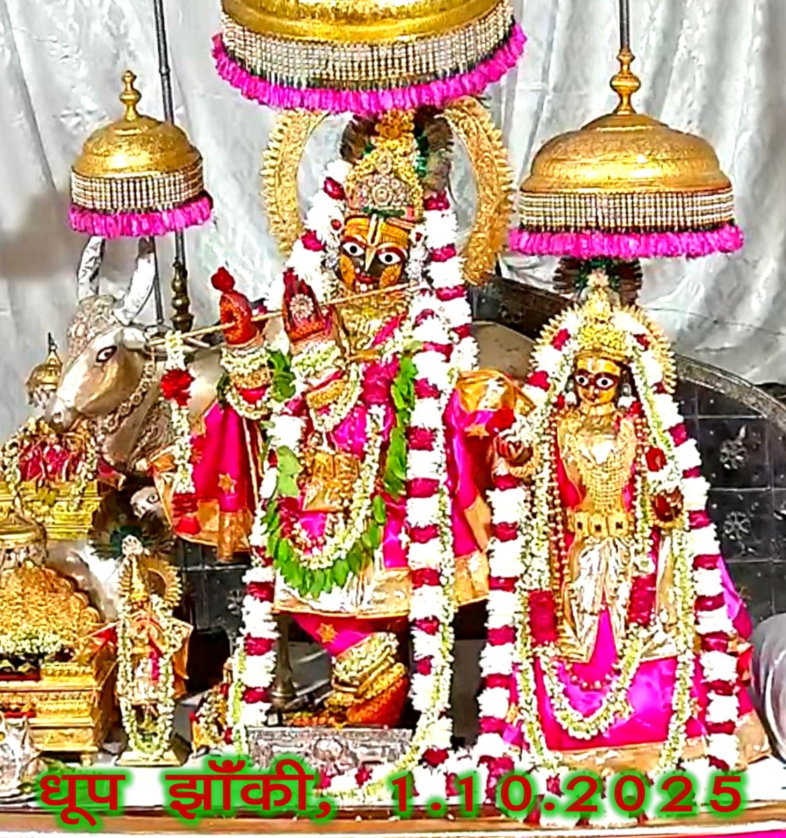 GovindMandir's tweet photo. कृष्ण केशव पाहिमाम्  ...🙏 https://t.co/5ZnDzdp2An