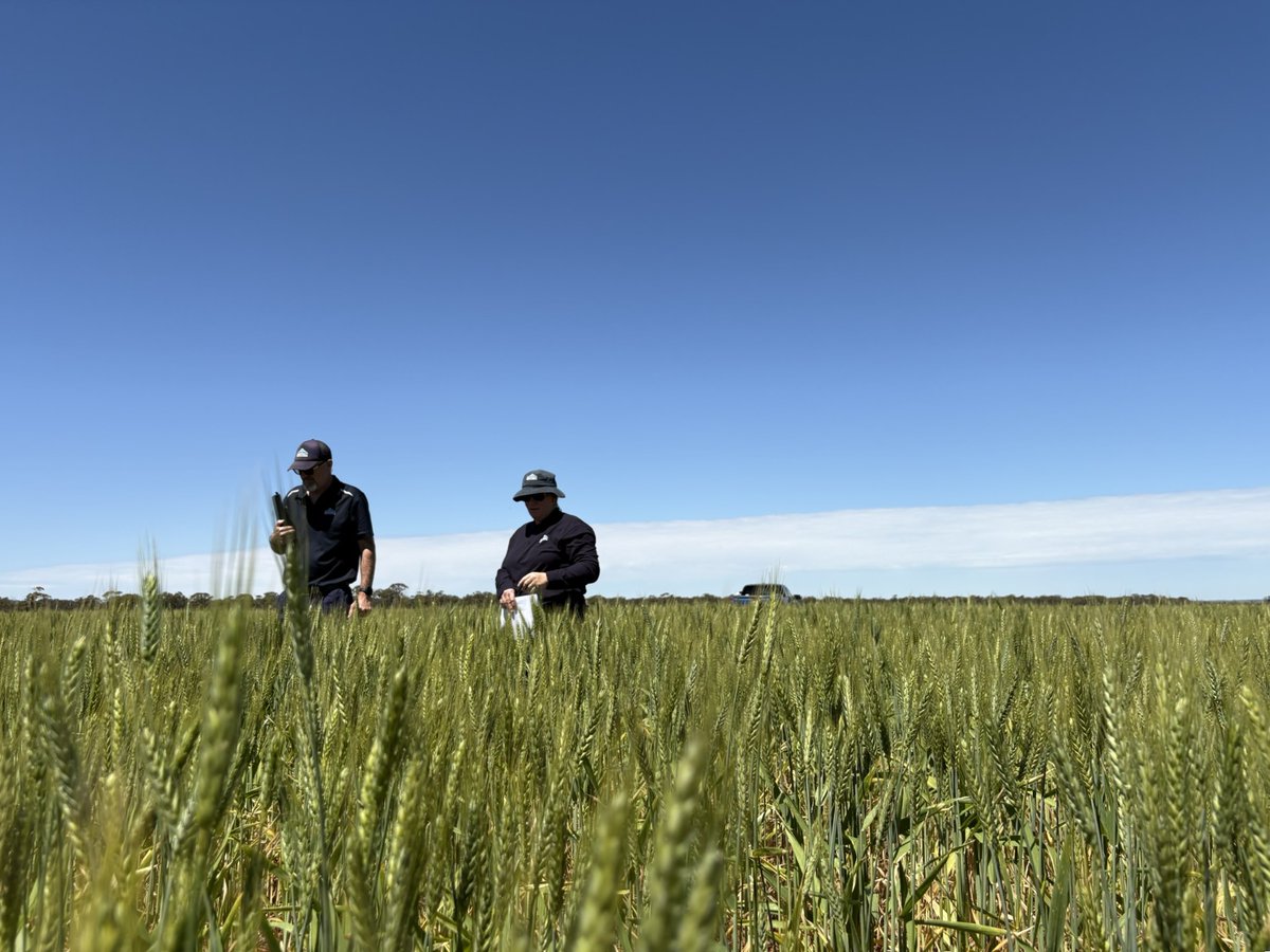 Summit Fertilizers tweet media