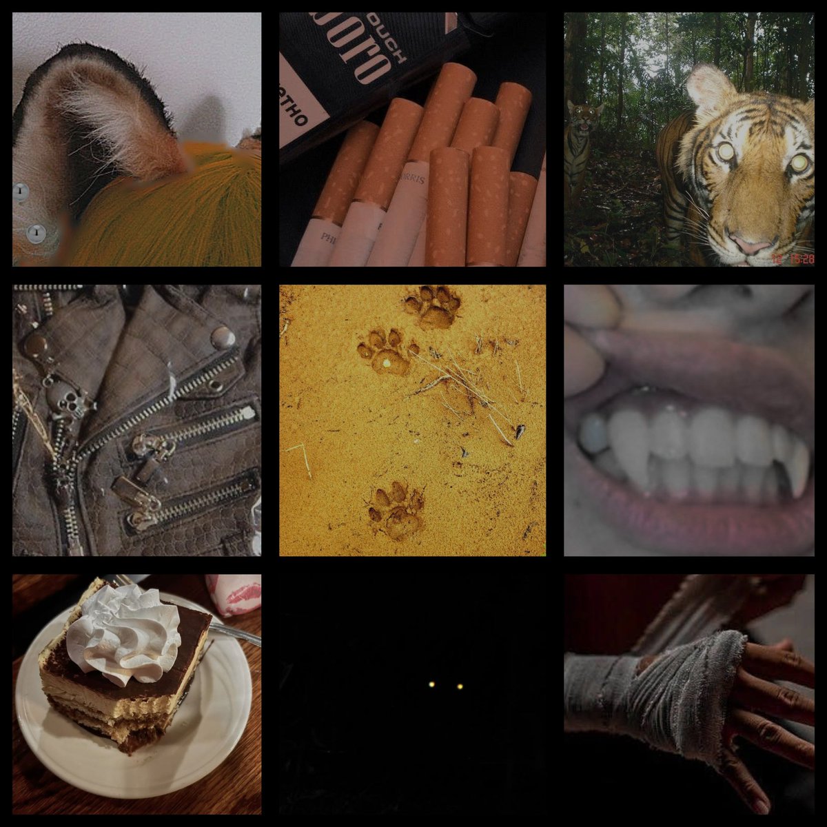 卩尺ㄖ山ㄥ乇尺 ✖ tweet media