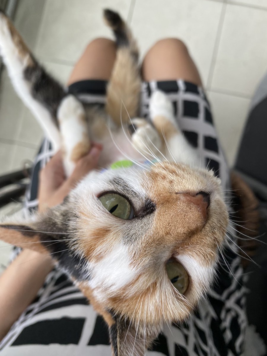 slmat pagy,, akhirny ak kluwar tp mba bangunnya ksiangan,, 😾