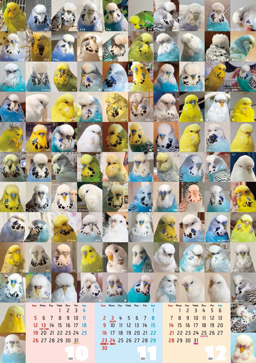 10月になりました！
今月のジャンボカレンダーは
ハロウィンパーティーに出かけるジャンボたち🎃
今月もモフモフみんなかわいいね♡

そしていよいよ
ジャンボカレンダー2026の出番です！
2026が手元にあるみなさま
2025と2026を並べて飾れる
貴重な3ヶ月の始まりです✨️
年末に向けてジャンボまつり