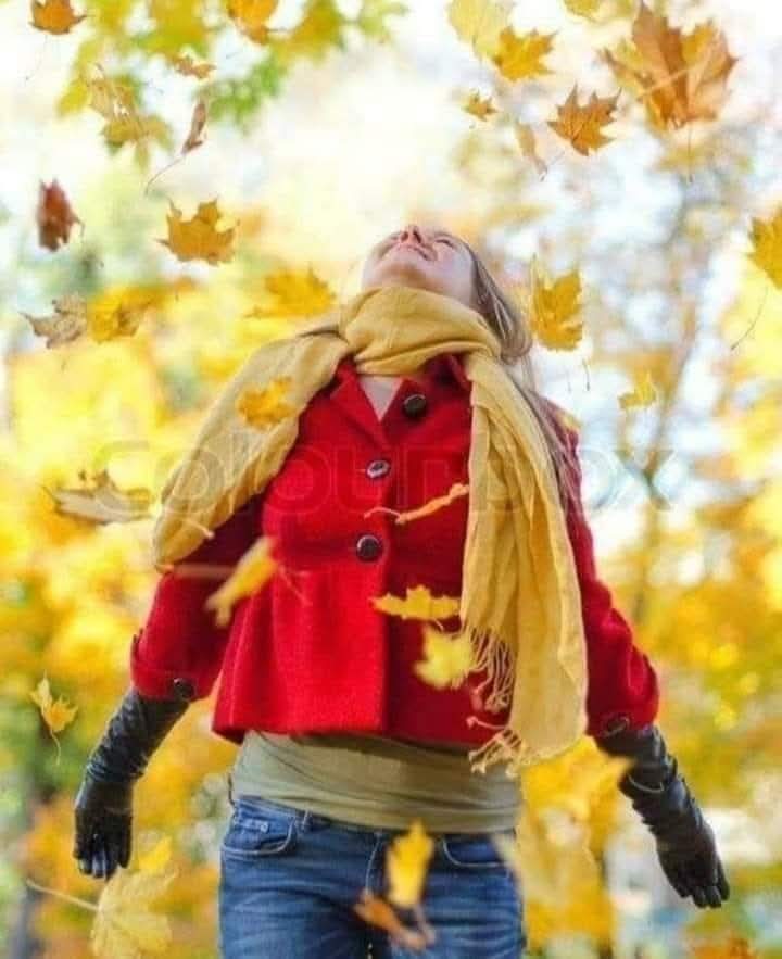 ss_5353Rz's tweet photo. Yemyeşil nisan'ı mayıs'ı herkes sever.
İş...!
Sarısıyla, kurusuyla, hazanıyla, hüzünüyle.
Eylül'ü, #Ekimi, sevebilmekti
#Günaydın https://t.co/VJSDlf5vXY
