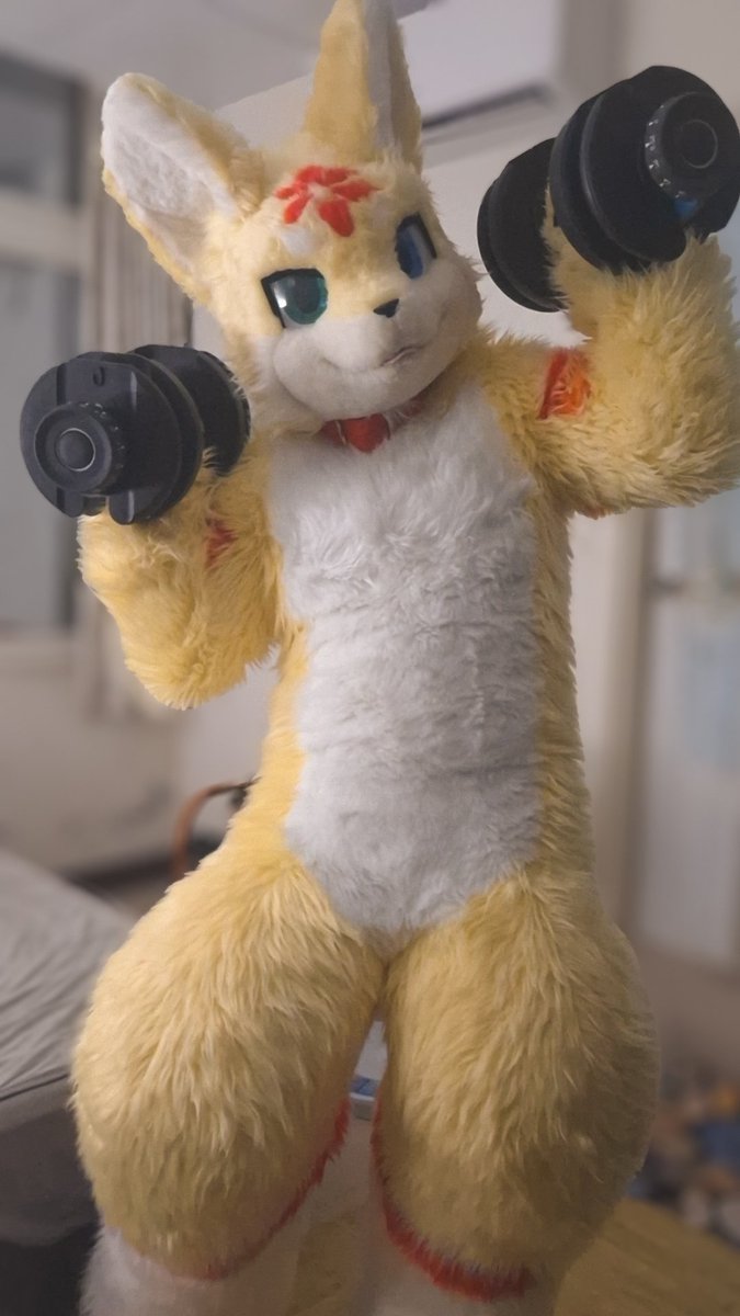 【獸裝】

我們一起變健壯毛毛 好嗎！🥺🥺

#furry #fursuit #FursuitEveryday #furryfandom #furrysuiter