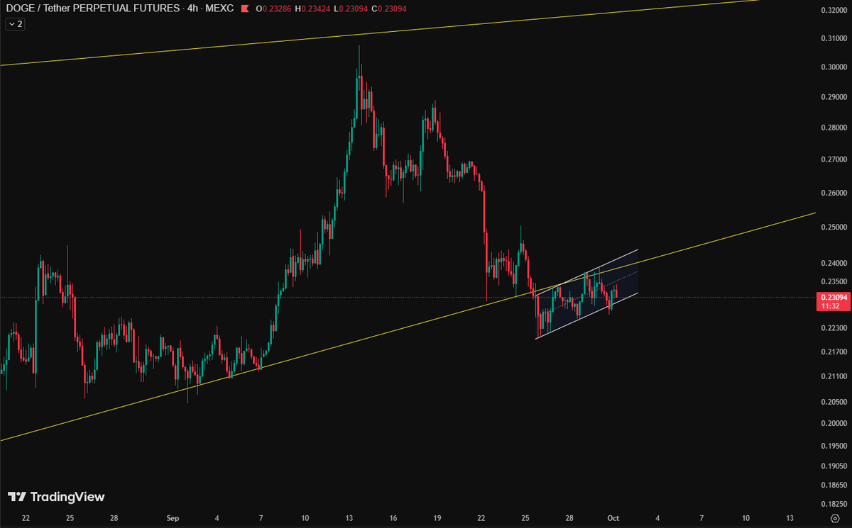 Many altcoins formed bearish flag pattern like $DOGE.
The huge correction is coming