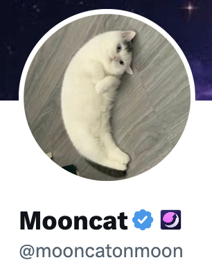 garbinsky182's tweet photo. @Ga__ke the ticker is $mooncat and it's going to fucking billions gake... moonshot literally put it in plain sight. https://t.co/Uhm6x118zq