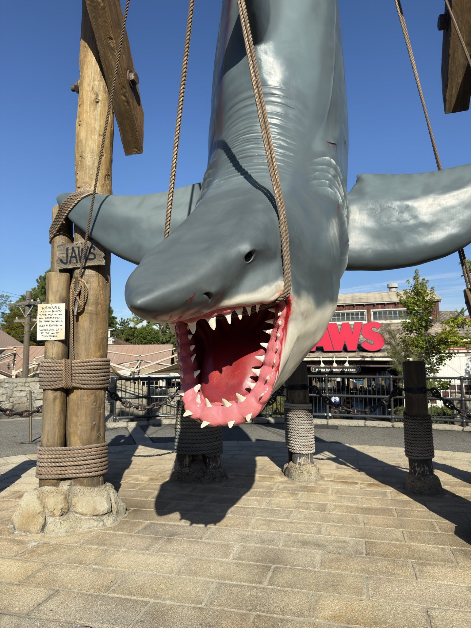 サメのヒレ　空想アパートメント ② サメのヒレ 空想アパートメント ② サメのヒレ 空想