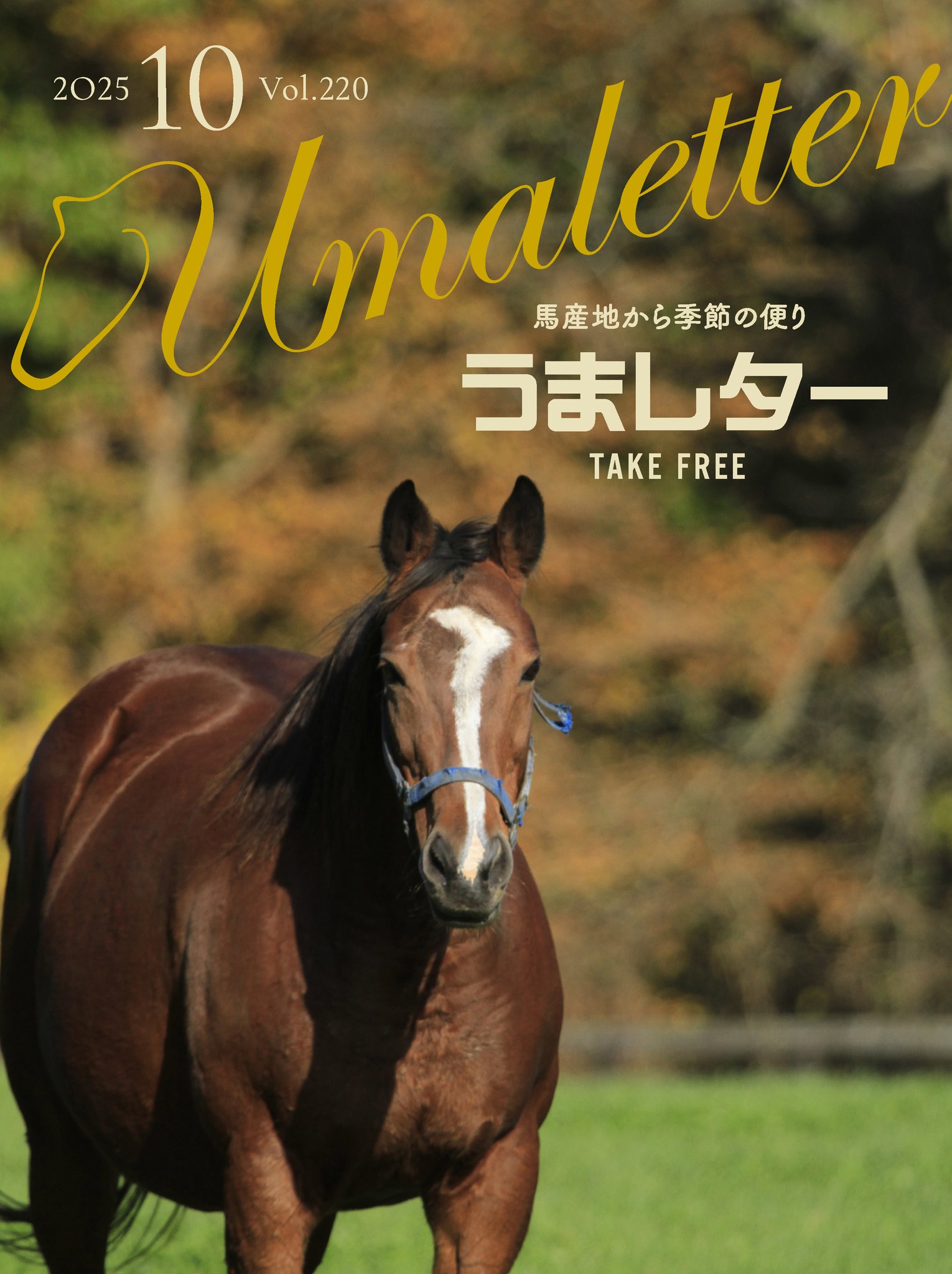 うまレター on X: 