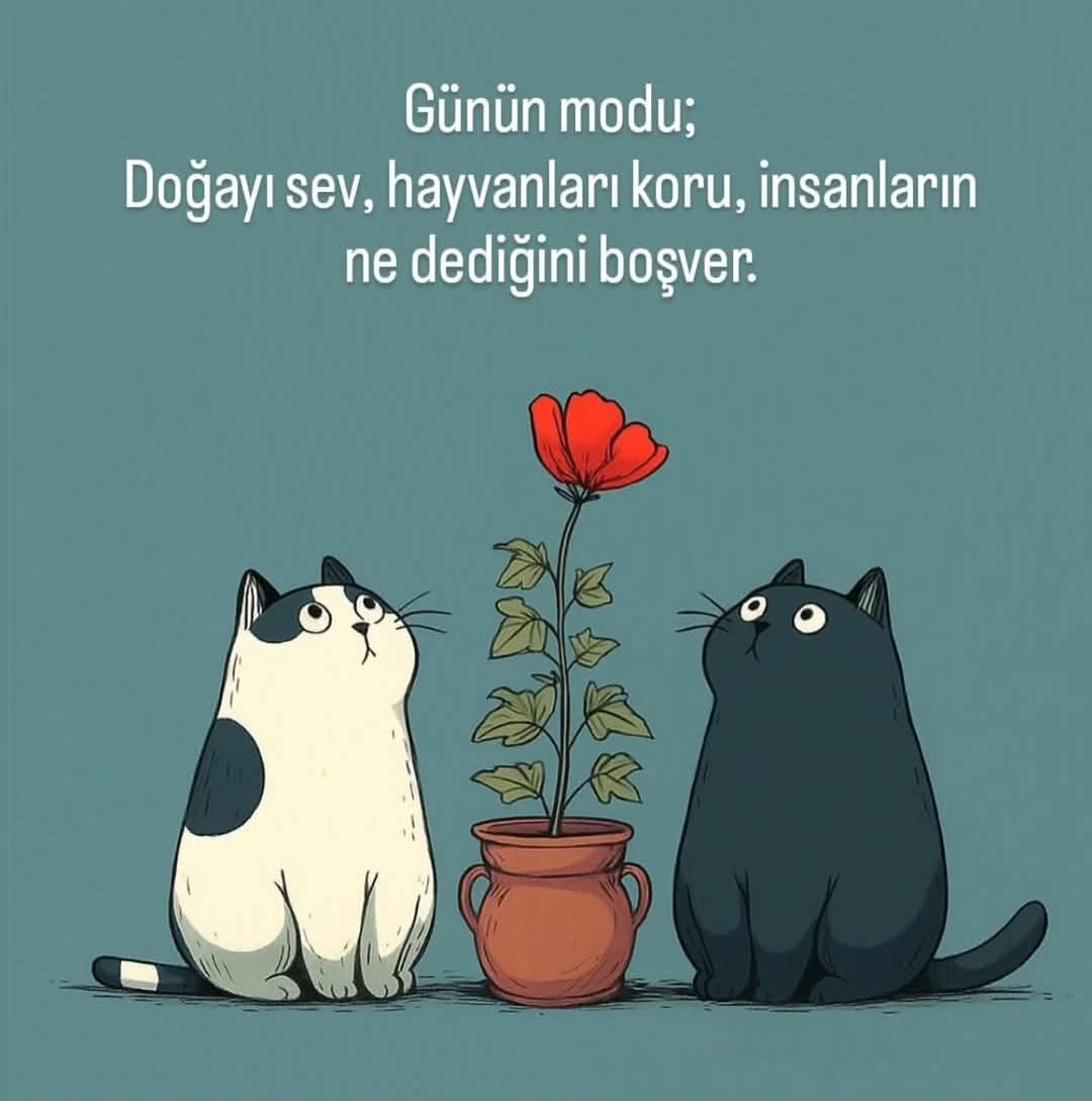 Kimi yasaklar doğarken hükümsüzdür! #BeslemeYasaklanamaz