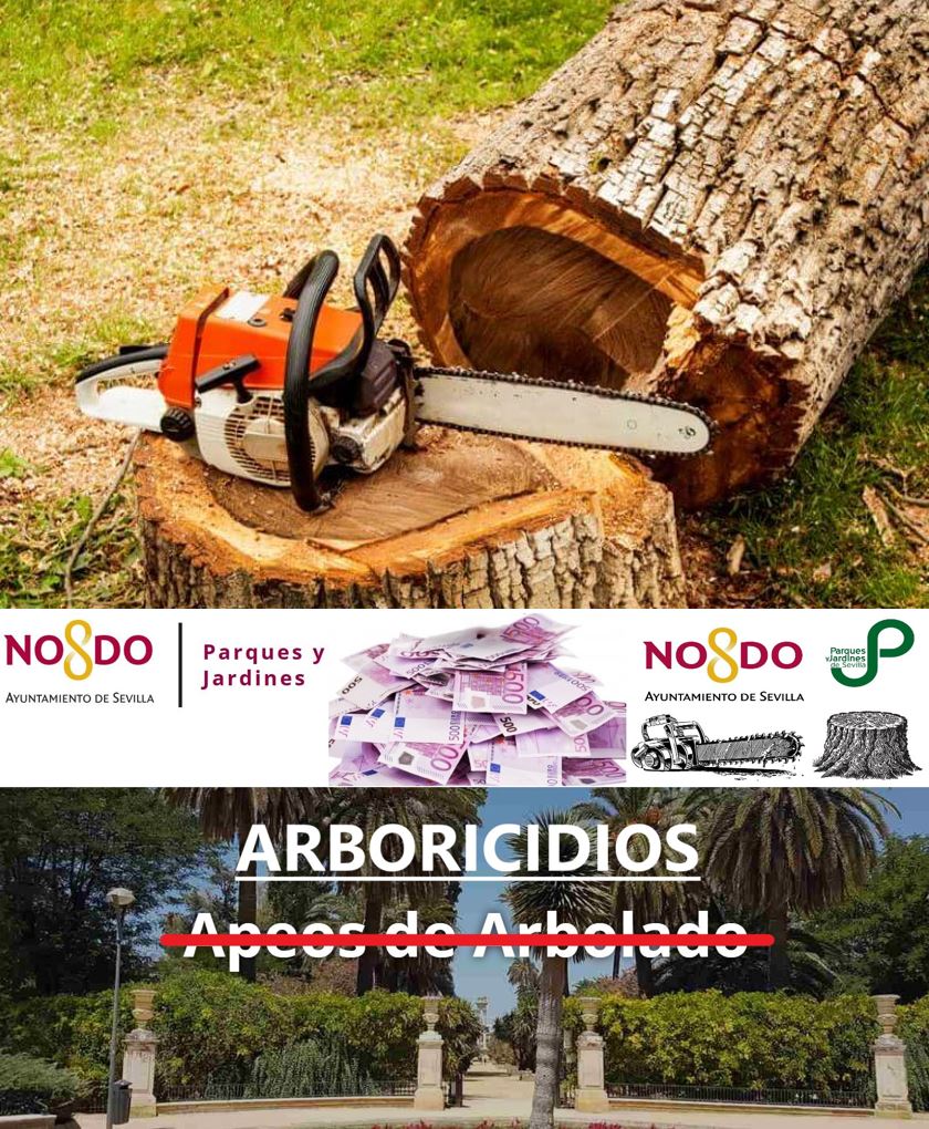 📢<a href="/Ayto_Sevilla/">Ayuntamiento de Sevilla</a> ha publicado en SEPTIEMBRE 272 #FichasDeApeo🪵
Faltan 106 #Fichas.
Total 378 #ÁrbolesTalados.
Los #Árboles en #Sevilla están de #Luto⚫️
Un verdadero #Arboricidio del negro #Septiembre.
#EveliaDimisión‼️
⬇️Aquí el doloroso listado de #Talas:
sevilla.org/servicios/medi…