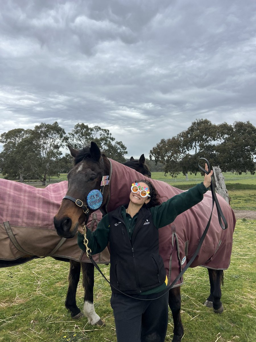 LivingLegendsAU's tweet image. This month we celebrated the birthdays of some of our #hkjc legends - Beat the Clock, Beauty Generation and Silent Witness

Teddy turning 12, Genie turning 13 and Silly turning the big 26! 🎉

#livinglegendsau #livinglegends #birthday #beautygeneration #beattheclock…