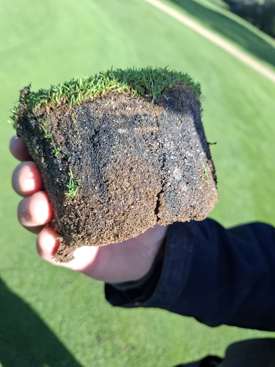 Poor quality irrigation water over the summer? This is the same core, taken a week apart, after a couple of apps of Liquidgyp,Polyphosphite 30, and FloThru APlus. And lots of aeration. <a href="/PlantFoodCo/">Plant Food Company</a> Speak to your <a href="/TurfCare_IRL_UK/">TurfCare</a> Rep