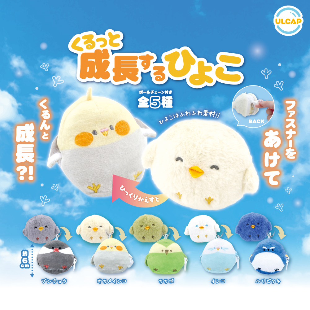🐣新商品のお知らせ🐣 『くるっと成長するひよこ』 ファスナーを開けて