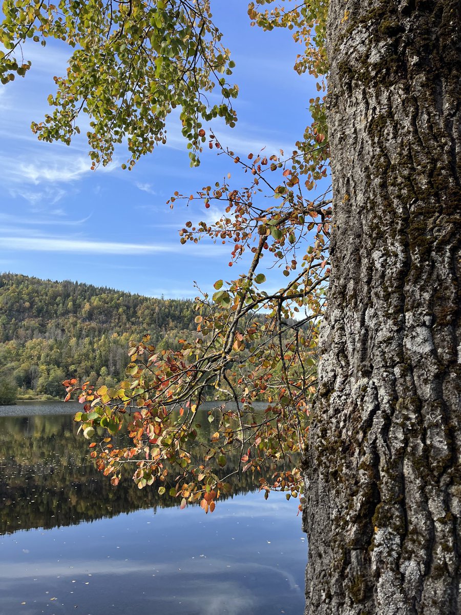 Welcome,October! Let the magic of fall fill your heart with joy,warmth,and golden memories.🍁🍂💙🧡
#Norway