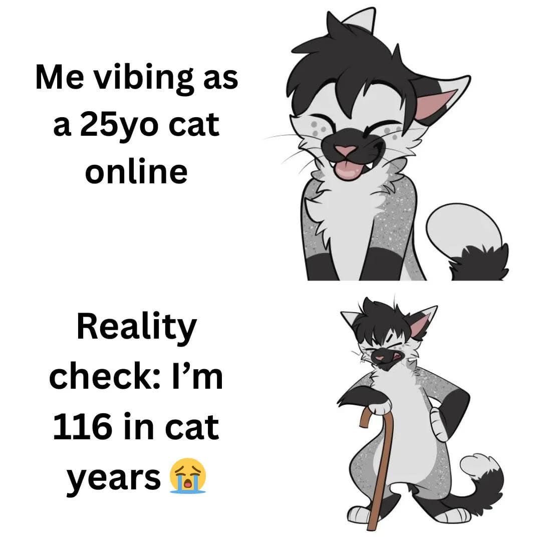 Libs of Furry tweet media