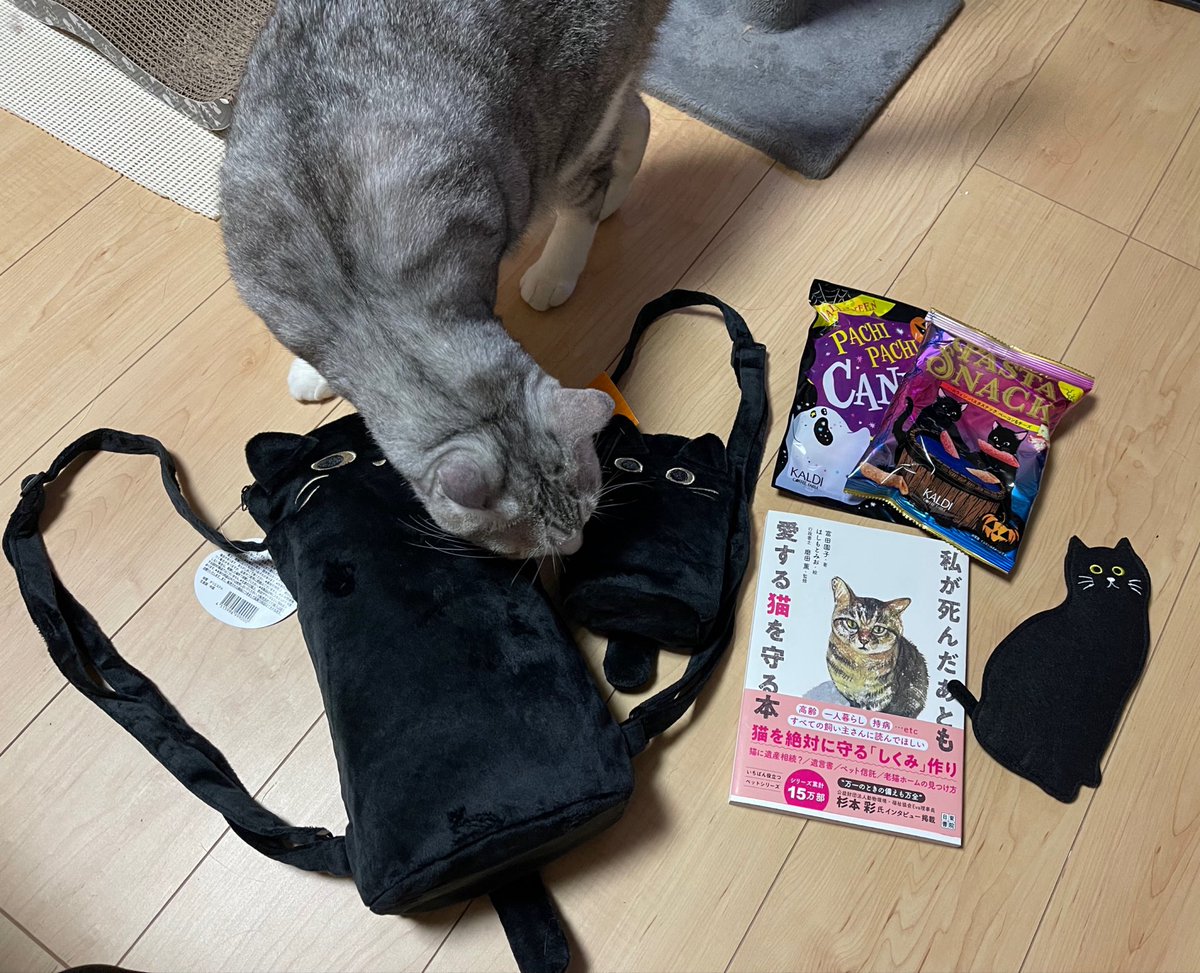 ゆっちゃん🐶🎉ゆっチャンネル🔥Breaking down7出場