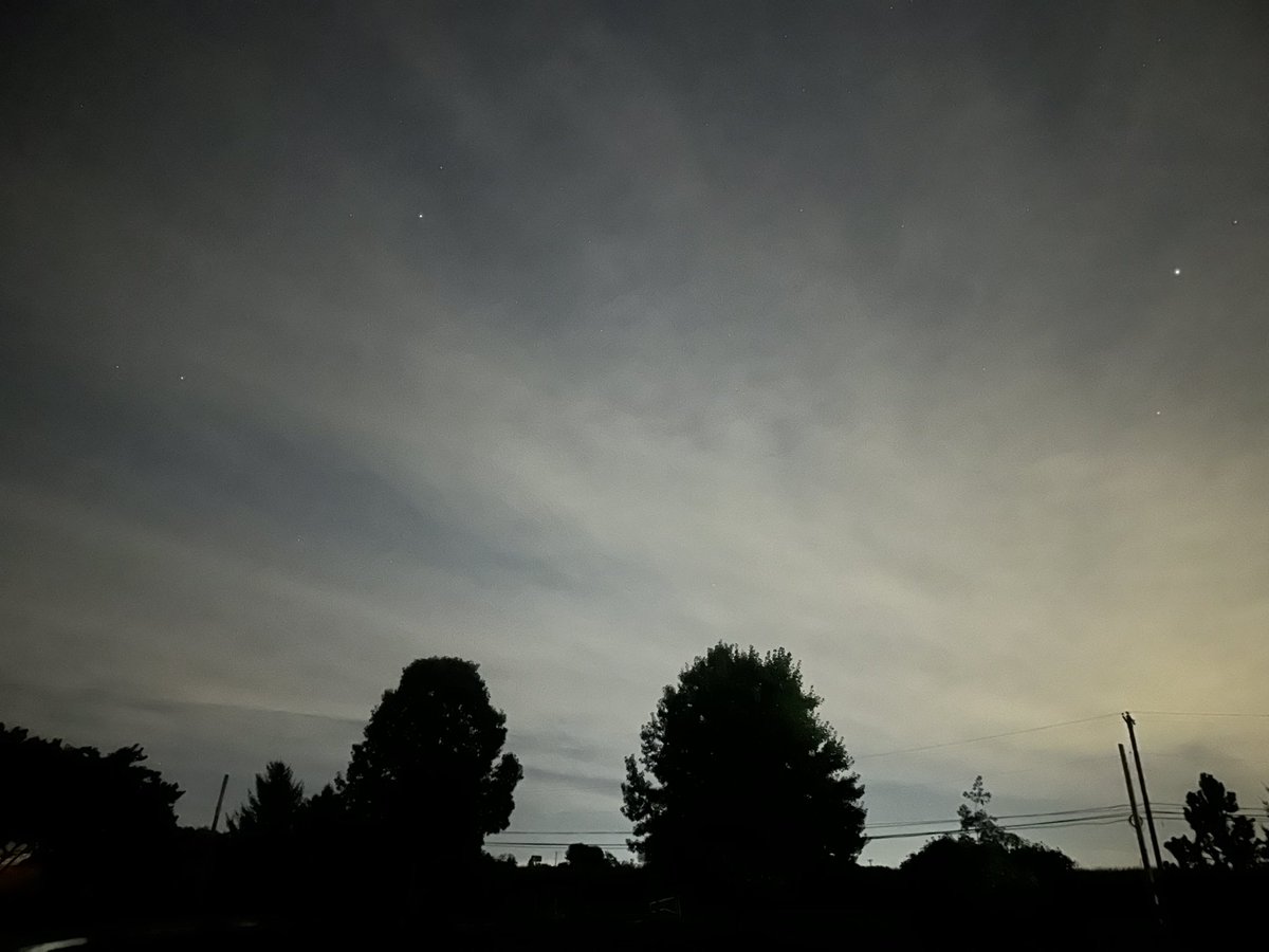 EasternChaser's tweet image. Oh, come on: Chapter 78….. #pawx #auror