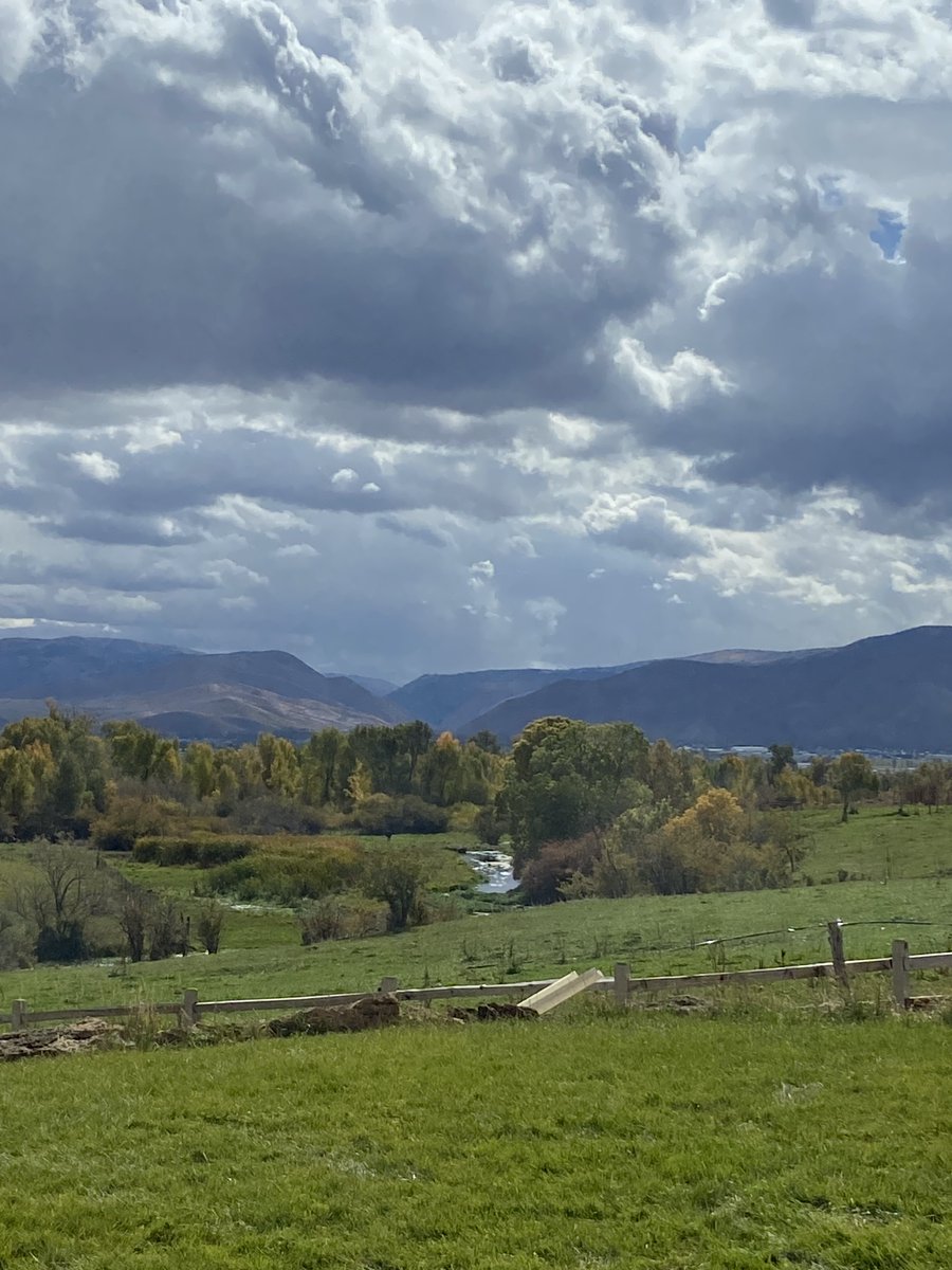 JN retired RN tweet media