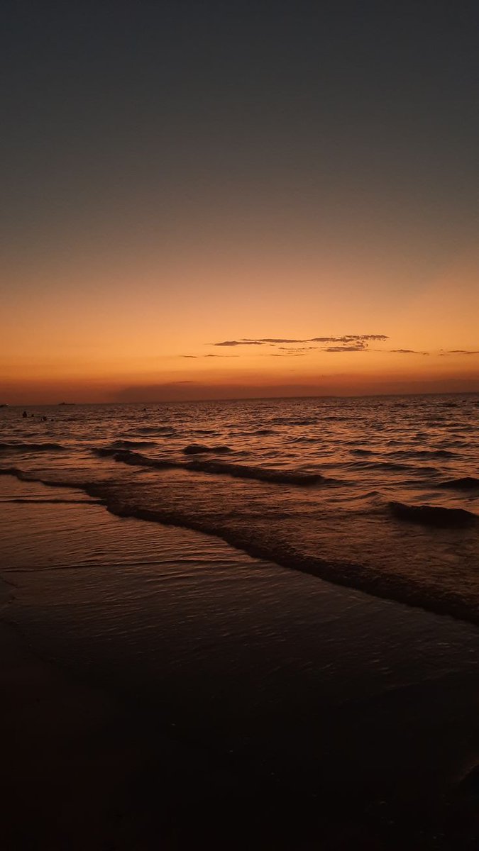 Aesthetics (@aestheticspost_) on Twitter photo 