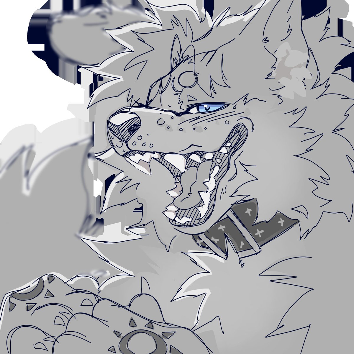 I love drawing canines