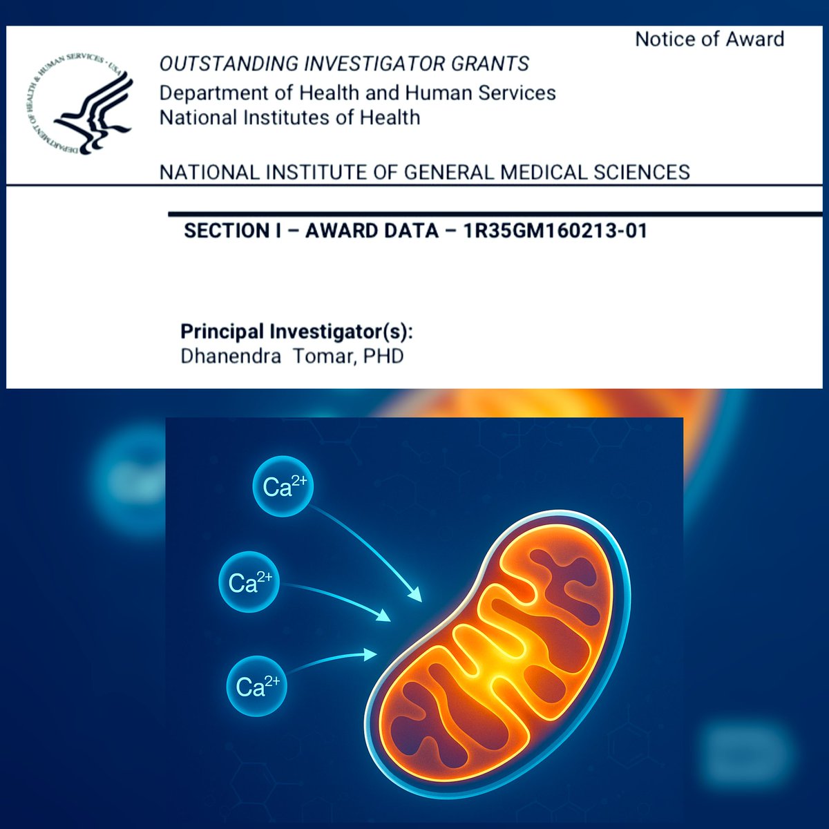 Dhanendra Tomar tweet media