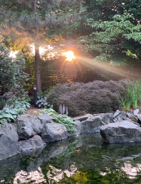 Talopiazo's tweet photo. 🌿🪻🌿🪻🌿🪻🌿🪻🌿🪻🌿
       🪻🌿🪻Nature🪻🌿🪻
🌿🪻🌿🪻🌿🪻🌿🪻🌿🪻🌿 https://t.co/EYRVQWD3my
