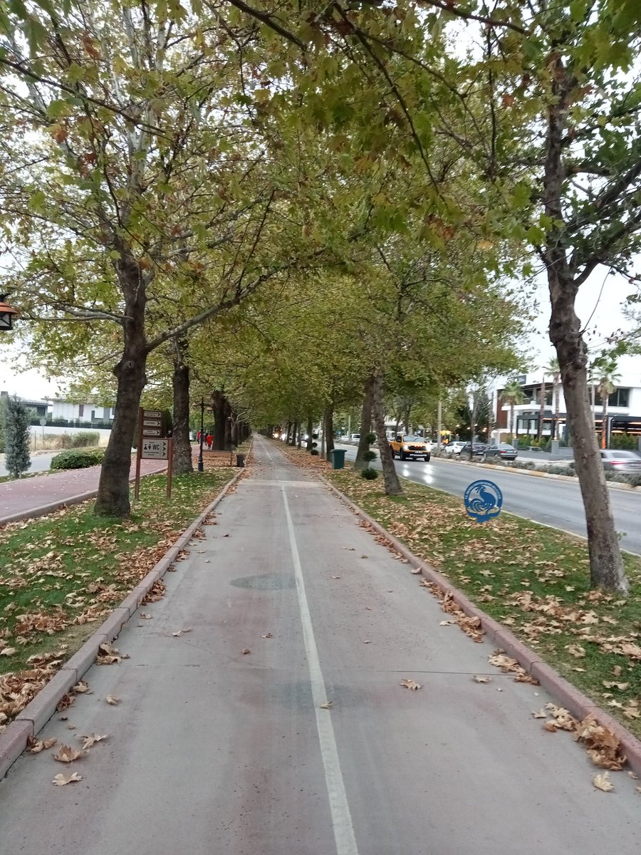 “Biz hem kurtların doymasını, hem de koyunların sağ kalmasını istiyoruz.”

Tolstoy 
#naturefotografy #nature