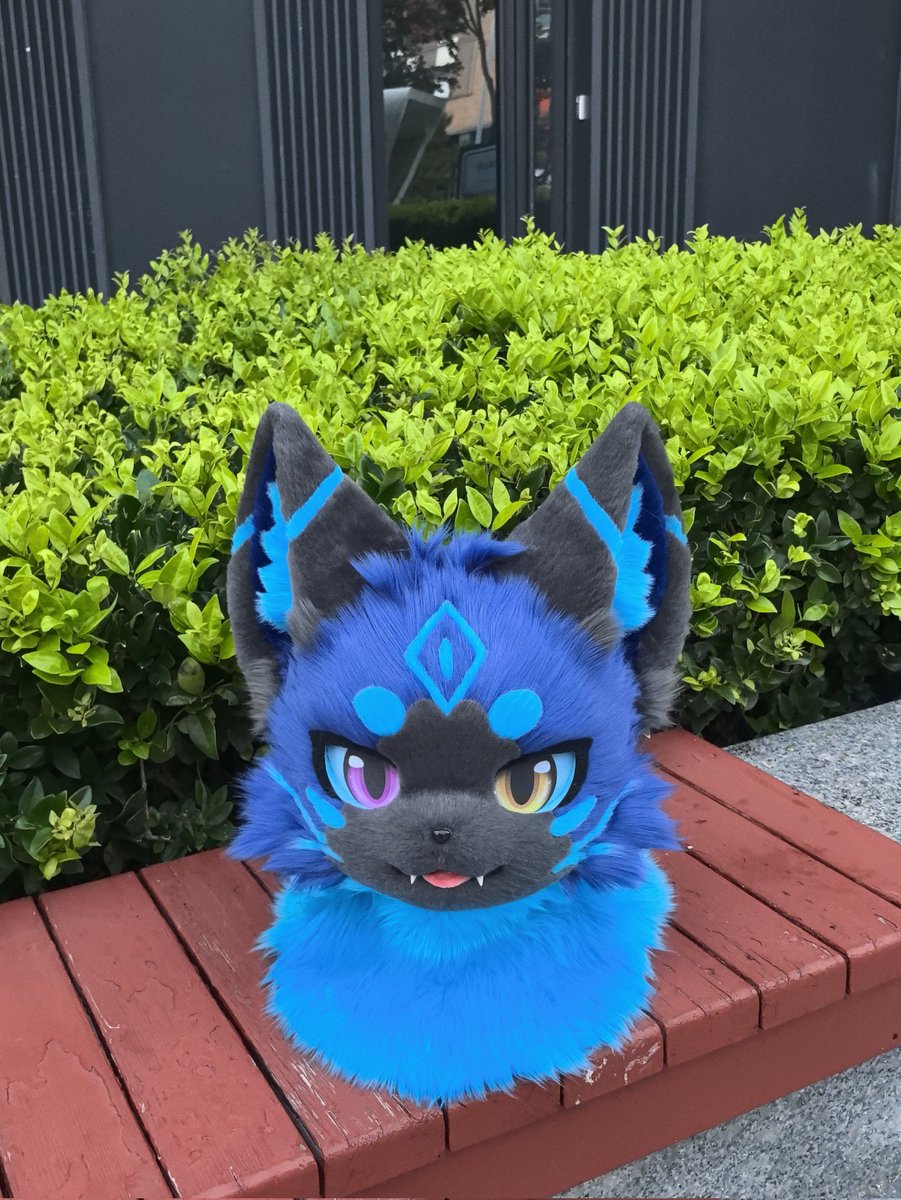 #fursuit <a href="/MochiFox93/">찹쌀여우떡(MochiFox)</a>