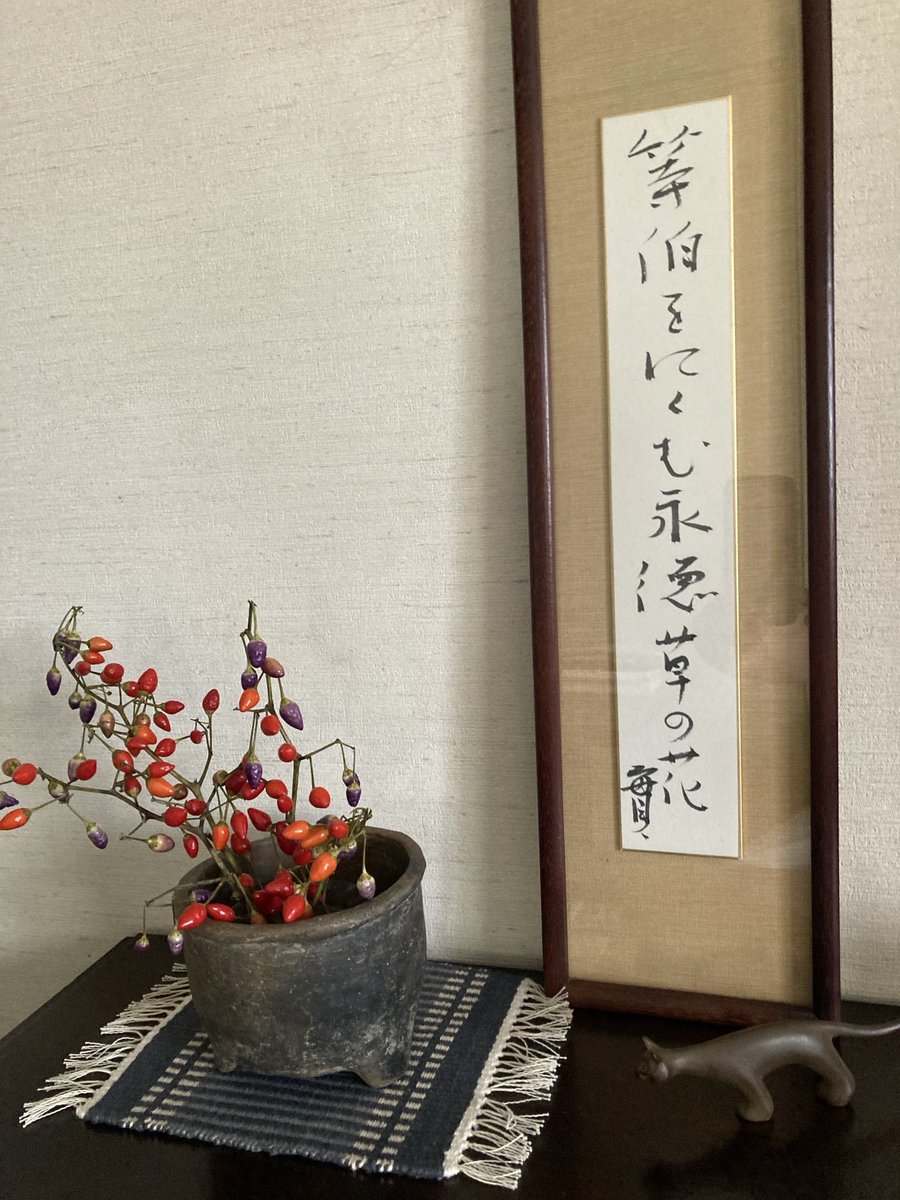 セレクション俳人　小澤實 セレクション俳人 小澤實 Amazon.co.jp: 小澤實集 (セレクション