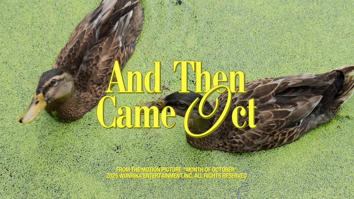 wonrika's tweet image. 🐠 ( 3/4 ) oct wallpapers . .